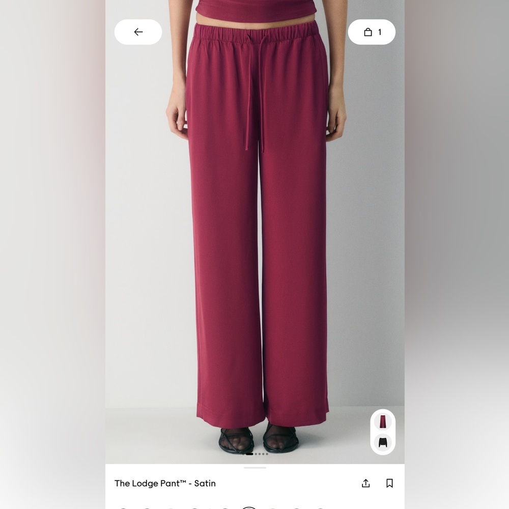 Aritzia Lodge Pant - Satin
